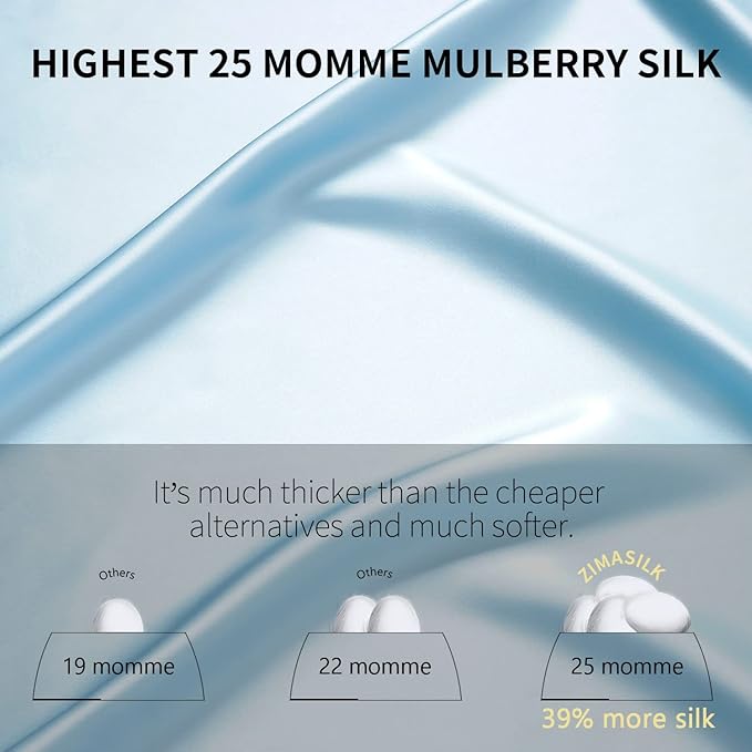 ZIMASILK 25 Momme 100% Pure Mulberry Silk Pillowcase for Hair and Skin Heath, Best Gift Choice, Highest Grade 6A Silk, 900 Thread Count, 1Pc (Queen 20''x30'', Light Blue)