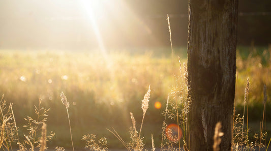 Self-Care Sundays: Skincare as a Form of Mindfulness